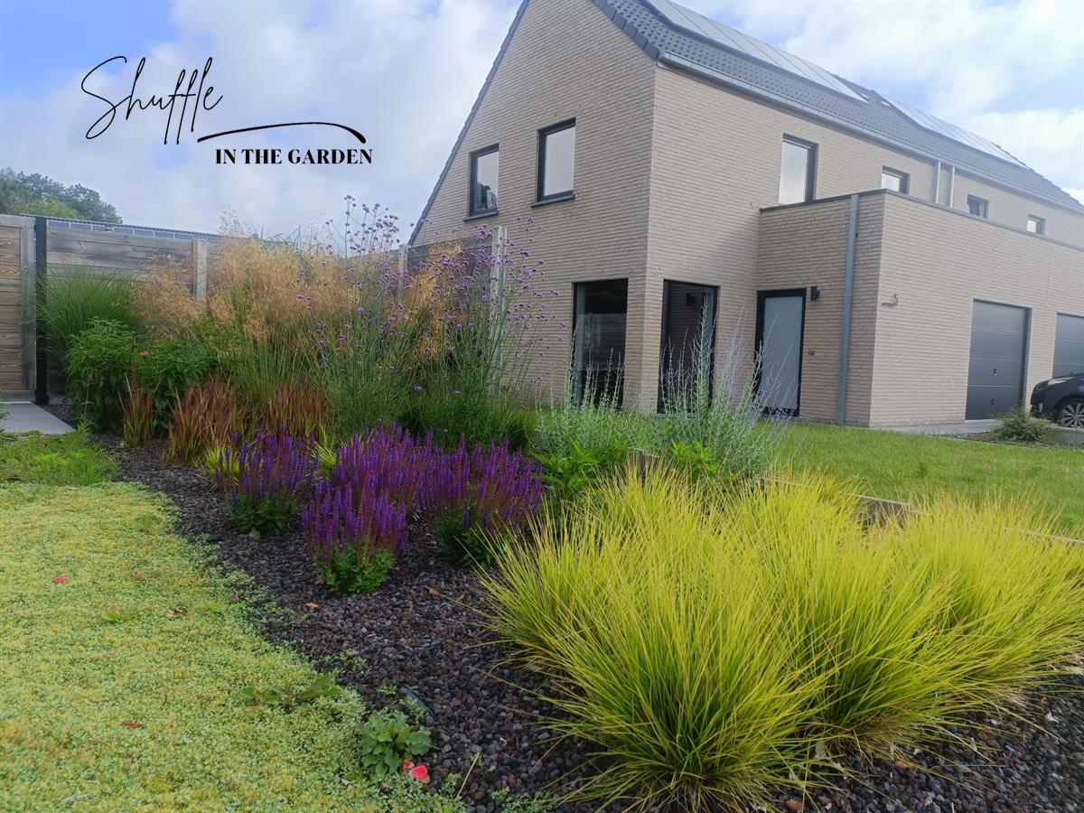 Kleurrijke voortuin met prairiebeplanting