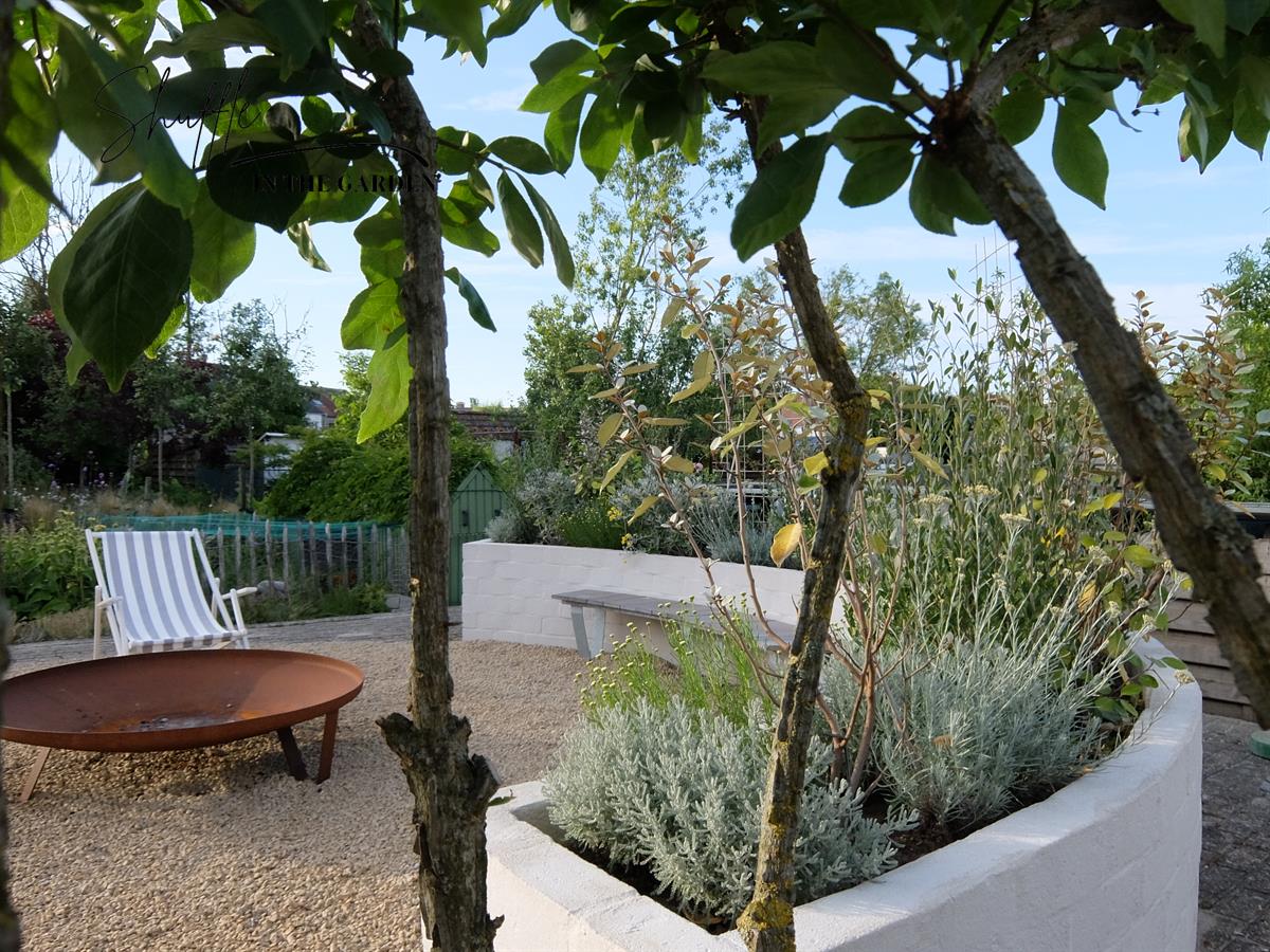 Ecologische tuin aan zee met zuiderse zithoek